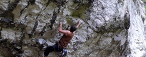 Spiderman (8a)